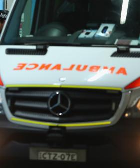 Swimmer Killed In Sydney Shark Attack