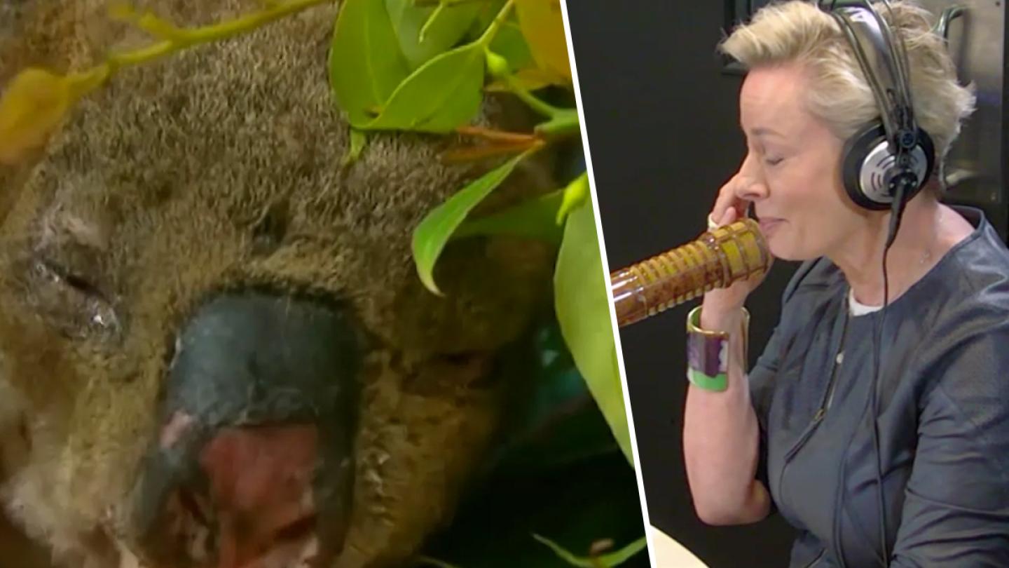Amanda Keller's Heartbreaking Tribute To Lewis The Koala