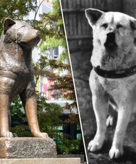 Amanda Keller Brings To Our Attention Japan's Hachiko Dog Statue