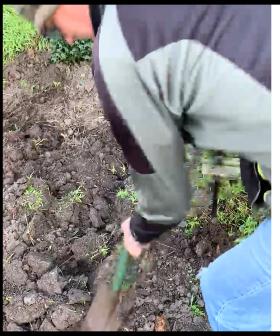 The Search for Jack's Time Capsule Continues...