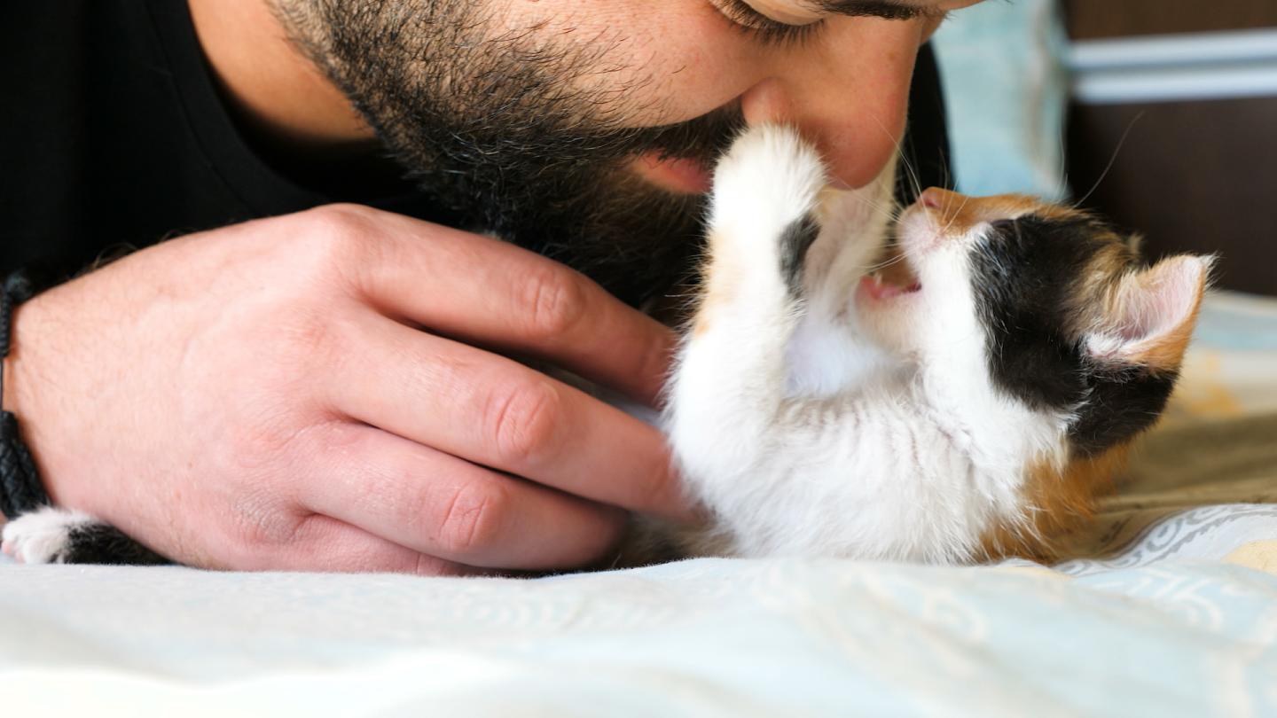 Missing Cat Found After 12 Years