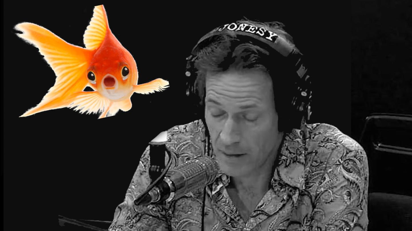 Jonesy Loses A Beloved Family Member