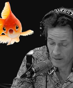 Jonesy Loses A Beloved Family Member