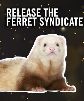 Release The Ferret Syndicate!