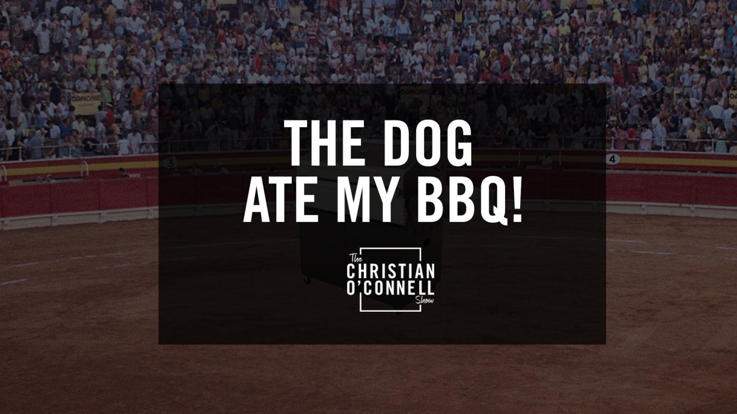 The Dog Ate My BBQ!
