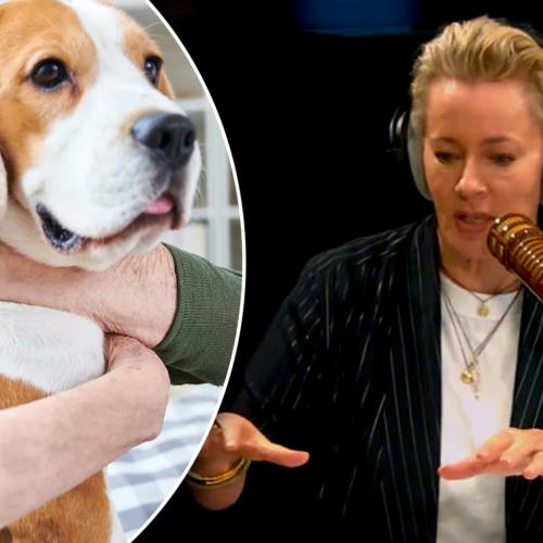 Amanda Keller's Heartbreaking Message For All Pet Owners