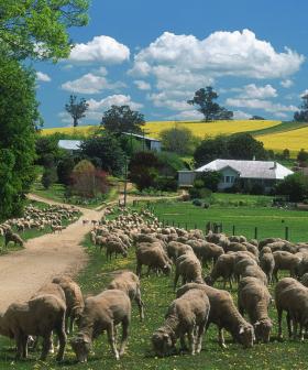 NSW Residents Will Be Getting $50 Government Vouchers To Spend On Holiday Accommodation