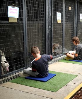 RSPCA Launches Animal Reading Program For Children