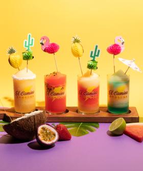 El Camino Cantina Are Doing Dual Frozen Margarita SWIRLS!