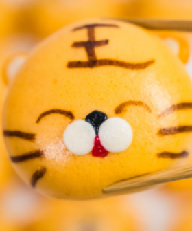 Din Tai Fung Are Selling Biscoff & Chocolate Flavoured Tiger Buns For Lunar New Year!