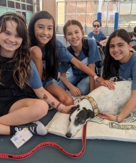 Do You Know A Future Vet In The Making? We've Found The Purr-fect School Holiday Camp!