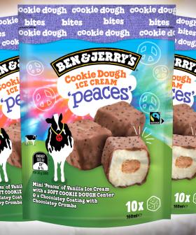 Ben & Jerry's Release Bite-Size Pieces And Good Luck Not Eating The Whole Packet At Once