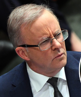 ScoMo Pulls Ahead Of Albo As Preferred Prime Minister