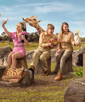 The Irwins Team Up With Paris Hilton For Hilarious New Uber Eats Campaign