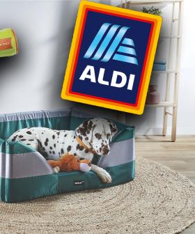 ALDI Has Introduced A PAW-SOME New Pet Range