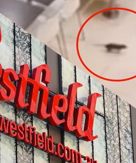 Giant Rat Spotted Running Across Westfield Food Court In Sydney