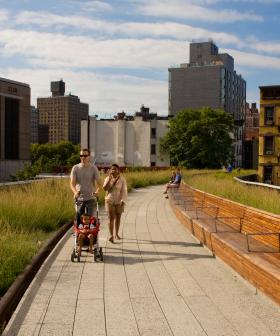 New York-Style High-Line Walkway Planned For Circular Quay