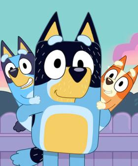 Bluey Fans SLAM Controversial Article Claiming Bandit Is A 'Bad Dad' And A 'Bully'