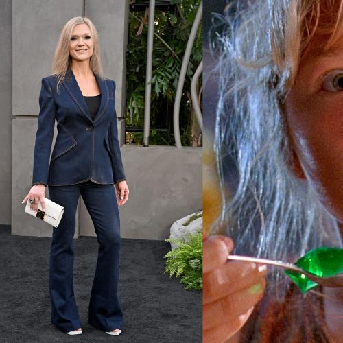 Jurassic Park Child Star Ariana Richards Returns To Red Carpet For The First Time Since Quitting Acting