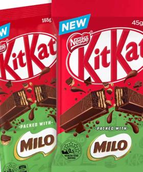 Kit Kat & Milo Have Finally Found Each Other In This God-Tier Pairing