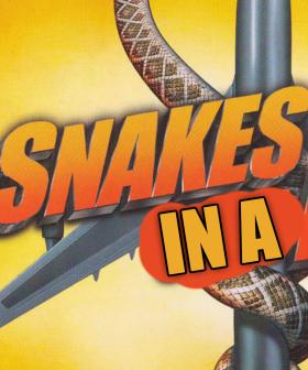 Flight Attendant Finds Snake Head In Airline Meal
