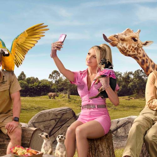 Paris Hilton Has Named A Giraffe At Australia Zoo A Rather Unusual Name