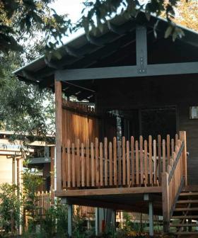 You Can Now Stay OVERNIGHT At Australia Zoo!