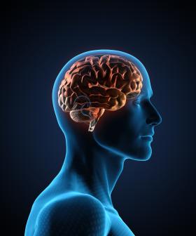 Being Interrupted Is Twice As Bad For Your Intelligence Than Getting Stoned