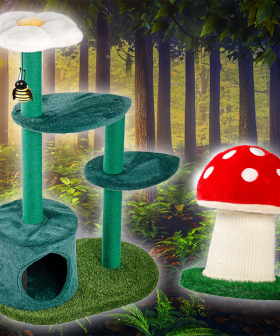 Create A Fairytale Fortress For Your Cat For Under $100!