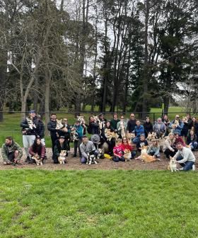 Corgi's Come Together To Commemorate Queen Elizabeth II