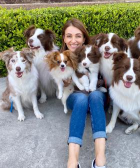 Calling All 'Pawrents' - Australia's First National Pet Show Is Coming To Sydney!