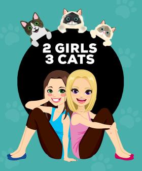 Do You Love Cats? We've Found The 'Purrfect' Podcast For You!