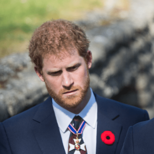 Harry Claims William 'Screamed' At Him In New Doco Episodes