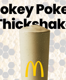 McDonald's Hokey Pokey Thickshake Is FINALLY Here!
