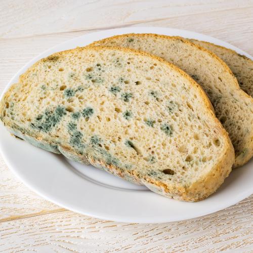 Here's Why You Should NEVER Eat The "Clean" Part Of Mouldy Bread