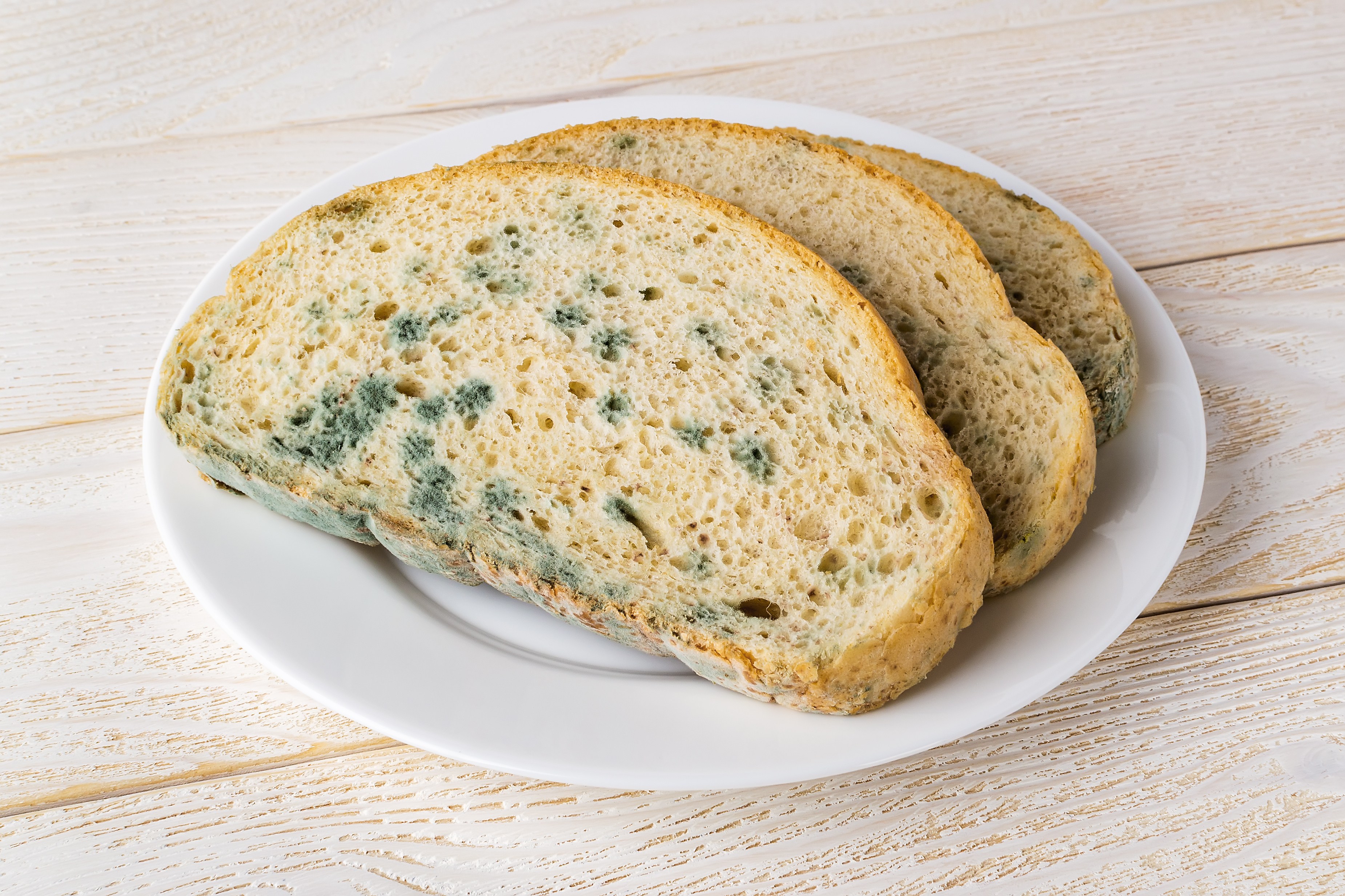 Mouldy Reed Here's Why You Should NEVER Eat The