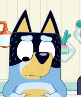 Latest Bluey Episode Labelled 'Toxic' And 'Problematic'