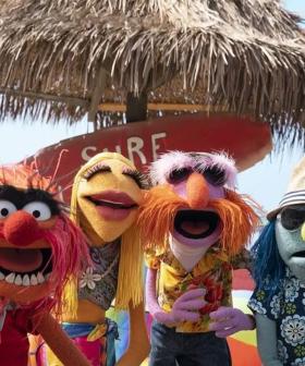 A New Muppets TV Series Is Coming And It's Mayhem!