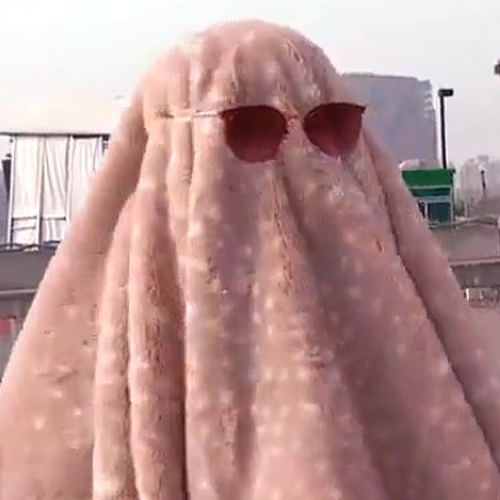 Woman Wears A Disguise At Taylor Swift Concert Because She Called In Sick To Work