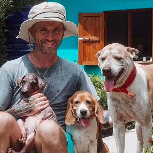 Man Dedicates His Life To Saving Thai Street Dogs After Near Death Experience