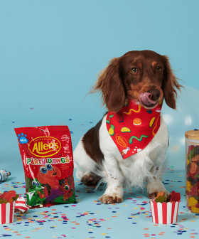 It's Paw-ty Time: Allen's Release Adorable Dog Shaped Lollies!