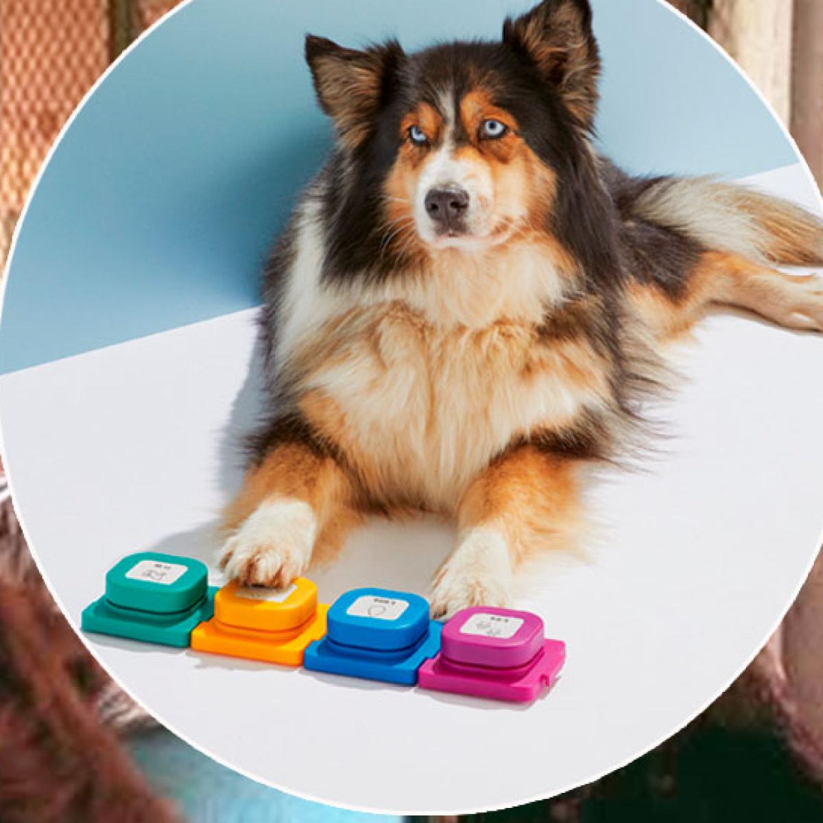 Aldi's Latest Launch Lets Your Best Mate 'Talk' To You