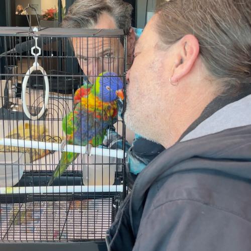 We Reunite Craig With His Beloved 19-Year-Old Lorikeet!