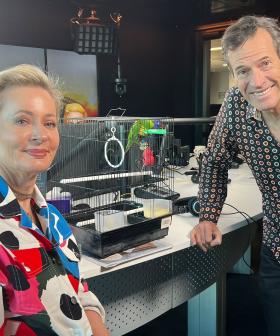 Can We Look After Craig's Beloved Lorikeet For A Week?