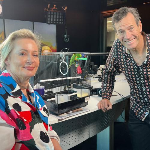 Can We Look After Craig's Beloved Lorikeet For A Week?