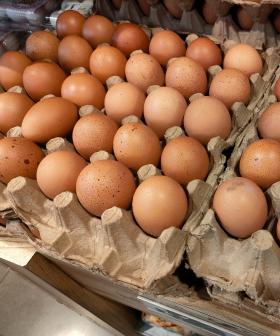 Coles Introduces Buying Limit On Eggs After Bird Flu Outbreak