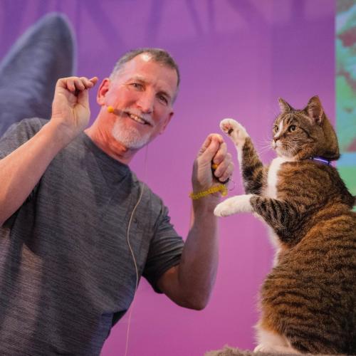 Do You Love Cats? We’ve Found The ‘Purrfect’ Weekend Activity!