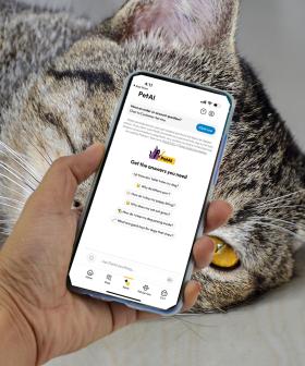 Calling All Pet Parents - PetAI Has Finally Arrived And It's A Game Changer!